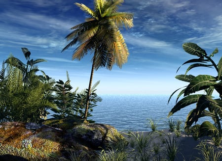 Landscape - palms, sky, forest, 3d