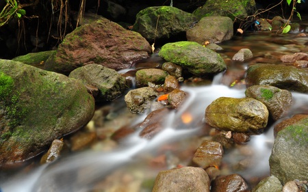 Batu Belah Indonesia - water, moss, clear, rushing, nature, forest, beautiful, rock, rivers