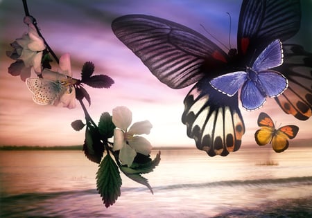 Butterflies - flowers, sea, 3d, butterflies