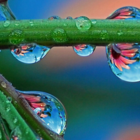 water droplet