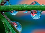 water droplet