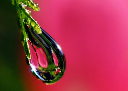 beautiful - droplet, water, reflection, beautiful