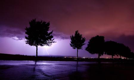 purple sunset - trees, sunset, purple, beach