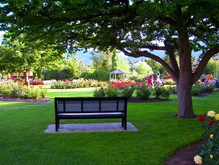 A view from here - flowers, roses, trees, gazebo, plants, bench, park