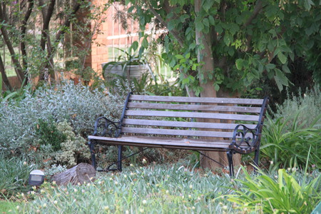 Come sit for a while - flowers, rest, seat, garden