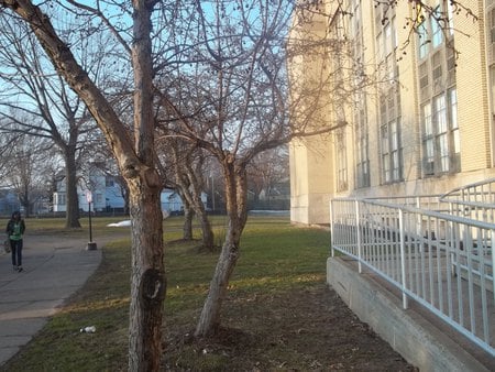 out in front - sky, trees, nature, charlotte high school, school, grass