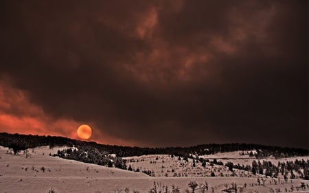 Another Life - storm, clouds, beautiful, forst, cloudy, nature, mountain, sunrise