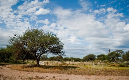 Calden - clouds, trees, blue, fields, road, fence, argentina, skies, nature, dirt, rural