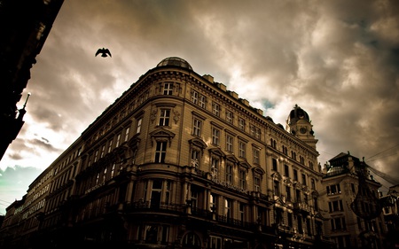 Dark Flight - street, corner, birds, dusk, cloudy, animals