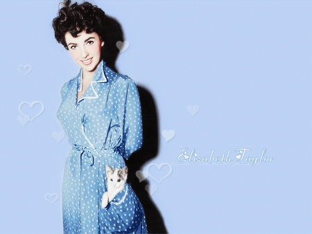 Liz Taylor - elizabeth taylor, people, kitten, cat, actress, woman, blue