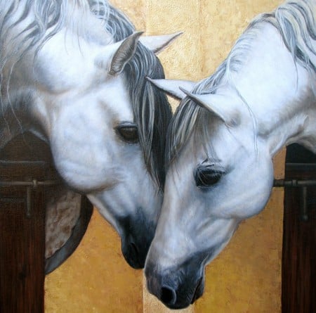 Rapport - horses, love, spanish, grey, rapport, andalusian, loving