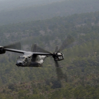 Osprey's training