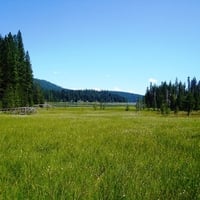 Fields of Green