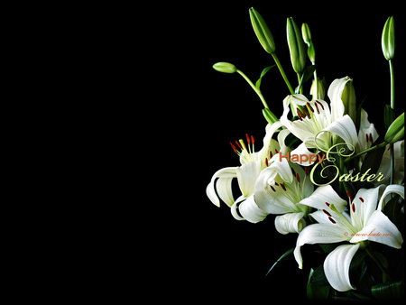 Easter flowers - easter, flower, holiday, risen