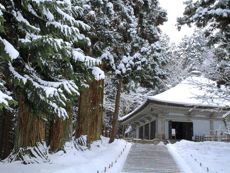 Japanese Winter - stairs, building, trees, traditional, structure, japan, snow, architecture, steps