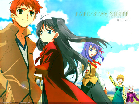 Always Together - sunshine, ilya, fate stay night, trip, vacation, game, shirou, rin, sakura, together, taiga, anime