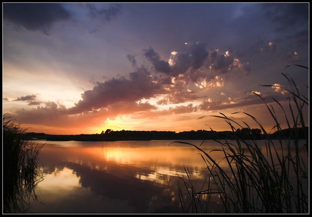 sunset at the lake - sunset, relaxing, beautiful, view, captivating, lake, grass