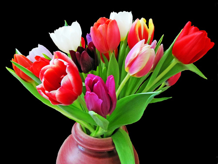 the colours of your smile - vase, tulips, beautiful, fulcolour, still life