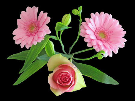 Pink for ungarilangi - gerbera, beautiful, arrangement, pink, still life, rose