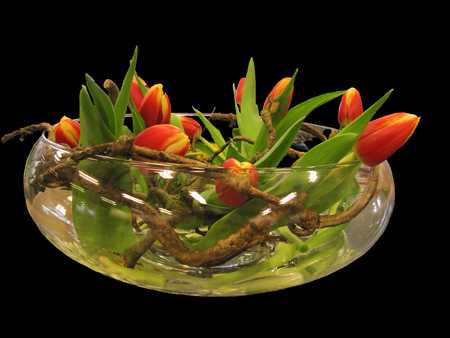 this makes me happy - beautiful, arrangement, red, tulips, still life, bowle