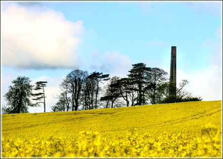 old tannery chimney - fields, tannery, trees, old