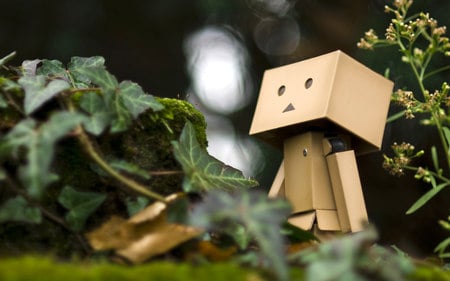 Dando - dando, photography, hd, little, character, dando danboard