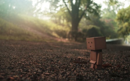 Dando Alone - dando, photography, hd, little, character, dando danboard