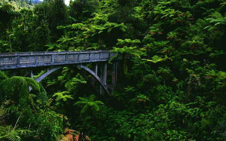 Bridge to Nowhere - bridges, fantastic, beautiful, green, fabulous, jungle, architecture