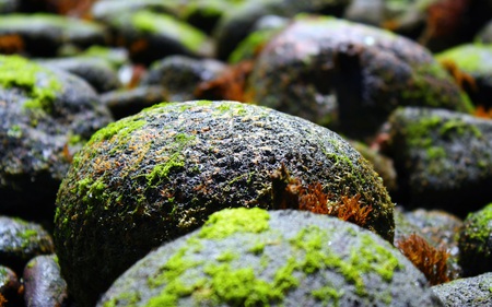 Colorful Stones - nature, beaches, covered, moss, rocks