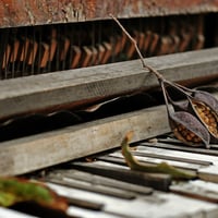 piano