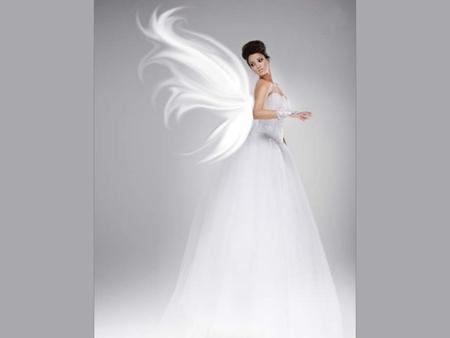 ANGEL BRIDE - white, female, angel, wings, bride, dress