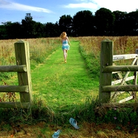 FENCE OF FREEDOM