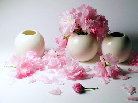 Pinks - still life - peonies, petals, pink, white vases, flowers, spring