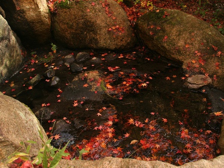 Autumn Leaf - nature, autumn, lake, water, leaf, rocks