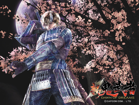 Onimusha - sword, video game, onimusha, hd, dawn of dream, warrior, fighting, action, adventure, ninja