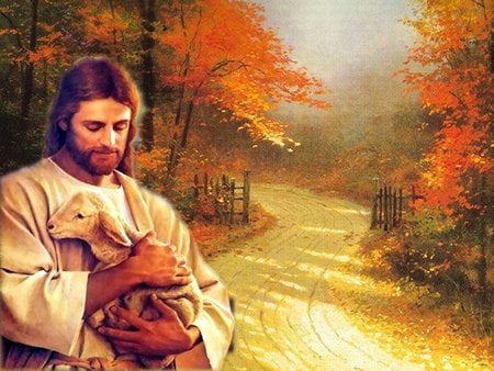 My sweet Good Shepherd Jesus Christ - autumn, religion, god, christianity, path, forest, jesus christ, tree, shepherd