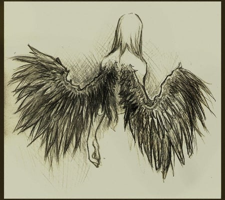 sketchy angel - wings, dark, sketch, hand