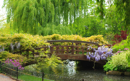 Ferntastic - lush, eye candy, romantic, beautiful, serene, peaceful, fern, foliage