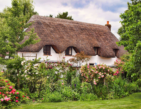 English cottage - nature, cottage, garden, english