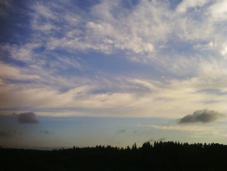 BurbiÅ¡kiÅ³ Forest - sky, forest, lithuania, clouds