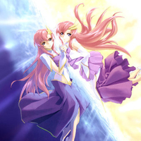 Laucs and Meer