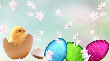 Spring Chick - eggs, easter, flowers, firefox persona, spring