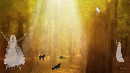 Honor the Light - spirits, light, mystical, ghosts, fantasy, wolves, wolf, woods, forest, mythical