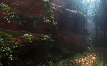 Inside a deep forest