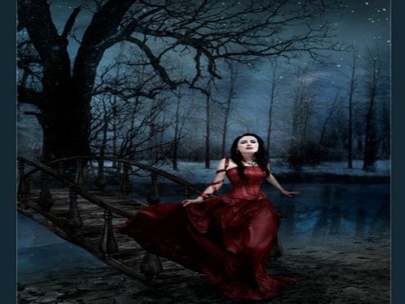 DARK DIVINE - sky, stars, trees, female, night, divine, dark, pond, bridge