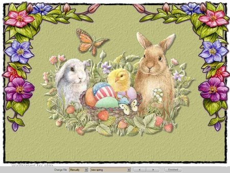 Its Easter time with Rabbits - flowers, easter, rabbits, chick eggs, spring