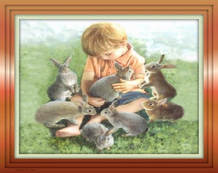 Which will i take home - rabbits, little boy, easter, sweet, frame