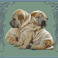 Two wrinkled friends