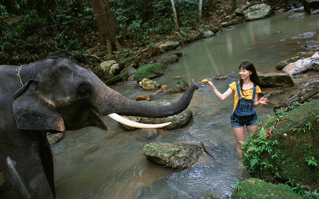 Friends - elephant, people, trust, friendship, model