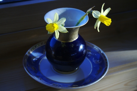 blue still life - beautiful, flowers, vase, still life, blue